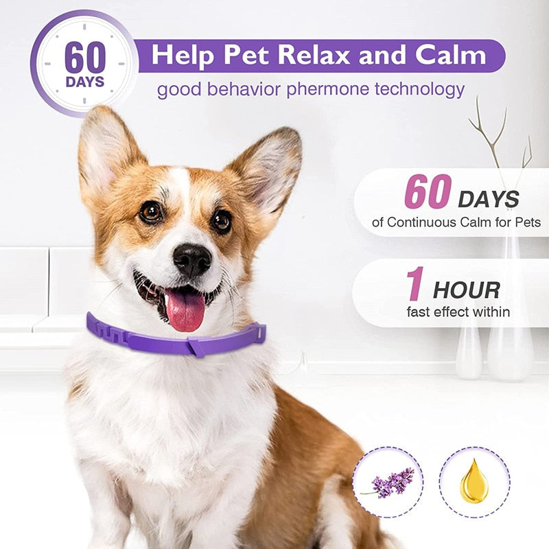Pandered Pets™ Calming Collar